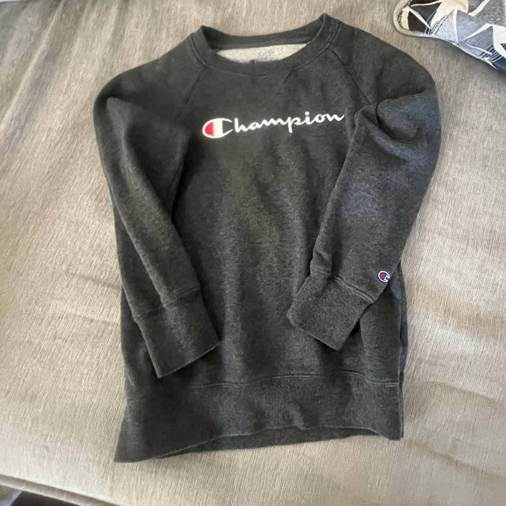 youth L champion seeatshirt